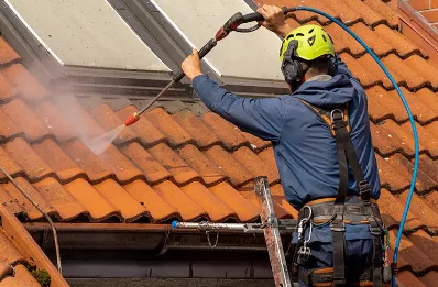 Démoussage et hydrofuge de toiture à Pludual